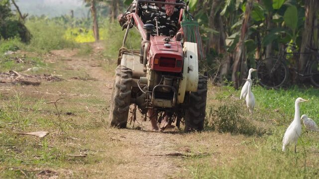 farmer coming back on rural road with hand tractor or power tiller after plow fields