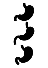 Obraz premium Kidney vector, vector of kidney art, kidney silhouette, creative kidney human organs design