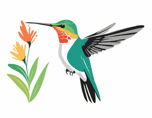 Hummingbird in illustration in brush stroke painting,