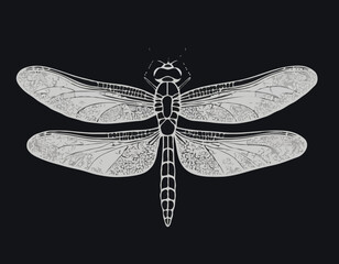 Elegant dragonfly illustration in black and white woodcut style
