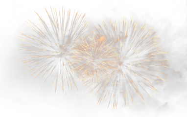Festive Firework Burst PNG Colorful Sparkling Light