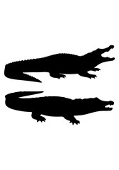Naklejka premium Crocodile vector, crocodile silhouette illustration, collection vector of crocodile, crocodile isolated on white 