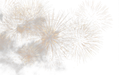 Holiday Fireworks PNG Vibrant Salute Explosion