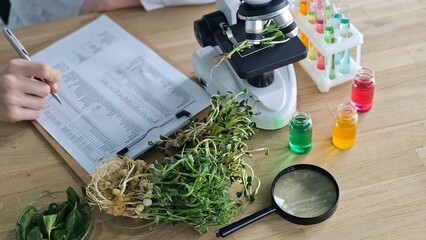 Research on plant samples with microscope and analysis at a laboratory