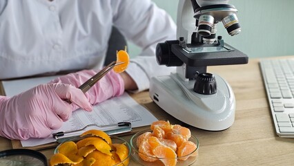 Researcher conducts study on citrus fruits using microscope and samples