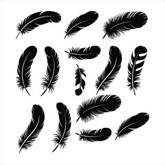 Diverse Black Feather Silhouettes Set, Realistic Bird Feathers Vector Illustration
