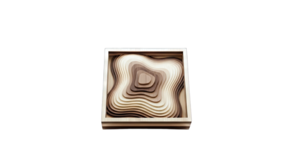 Wooden Topographic Art Piece on White Background