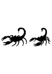 Fototapeta premium Scorpion silhouette vector, Set of scorpion collection vector art, scorpion animal isolated on white background