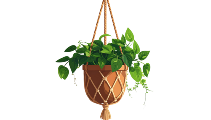 A vibrant, detailed illustration depicts a hanging plant with lush green leaves overflowing a brown pot. The pot is suspended by a woven rope