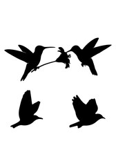 Fototapeta premium Bird flying black silhouette, bird flying vector art, vector of hummingbird collection isolated on white background