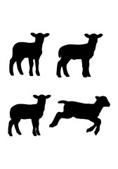 Obraz premium A set of lamb art, lamb vector art design, lamb vector illustration