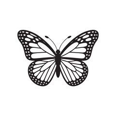 Fototapeta premium Butterfly line art (2).eps