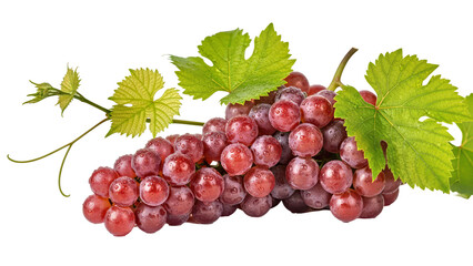 Fototapeta premium Fresh-Red-Grapes-With-Green-Leaves-and-Water-Droplets-on-White-Background-Still-Life.png