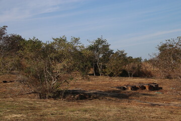 プレアヴィヒアの参道