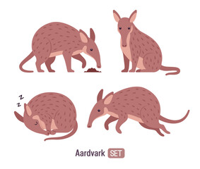 Aardvark burrowing mammal cute animal group set. Saharan African tube teeth Earth pig, funny friendly creature, zoo, wild life. Vector flat style cartoon illustration, Zoology and Biology study