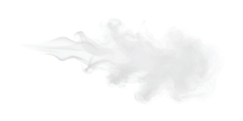 A wispy plume of white smoke or steam flowing across a white background