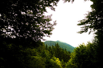 beautiful slovenian nature and mountains
