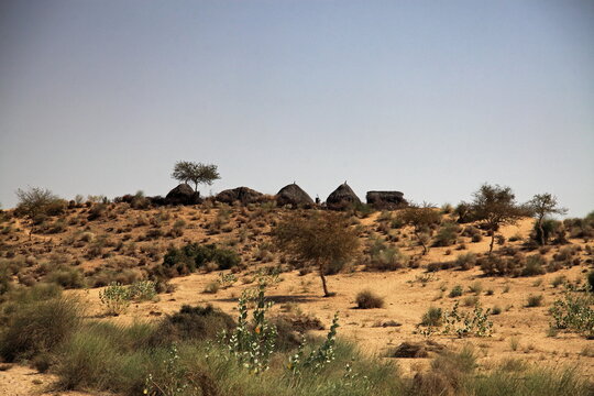View of sun-baked earth meets the vast sky, dotted with sparse trees and dwellings atop a sandy rise in the arid landscape, Mithi, Sindh, Pakistan.