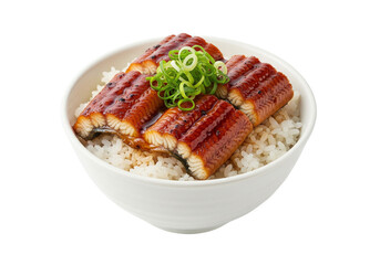 Japanese Unagi Donburi Bowl With White Rice Meal