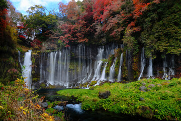 Obraz premium Shiraito Waterfall scenery