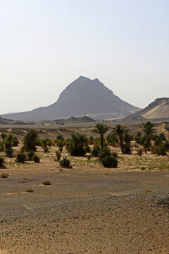 View of a solitary mountain rising from the arid land, dotted with sparse vegetation under a pale sky, creating a desolate yet captivating scene, Noshki, Balochistan, Pakistan.