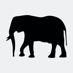 Elephant animal silhouette drawing