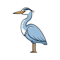 Obraz premium great blue heron ardea cinerea