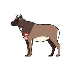 Fototapeta premium Cartoon Okapi Illustration with Hourglass Marking on Chest.