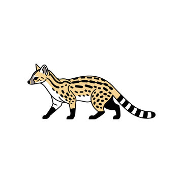 Cartoon Illustration of a Genetta.