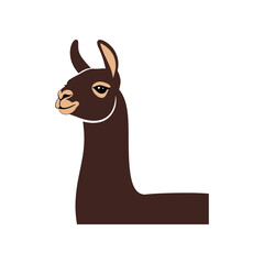 Obraz premium Cute brown llama head and neck profile illustration.