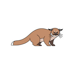 Cute Cartoon Civet Illustration on White Background.