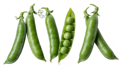 Fresh green peas in pods and one opened pod pea pods vegetables isolated on a transparent background