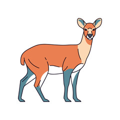 Elegant Illustration of a Standing Deer with Detailed Features.