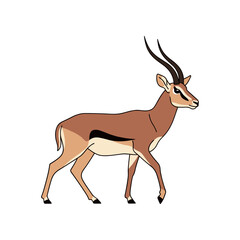 Graceful Gazelle Standing Tall with Elegant Horns.