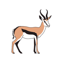 Graceful Springbok Antelope Standing Tall in Profile.