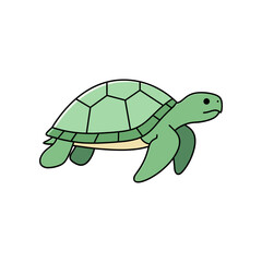 Green sea turtle illustration with detailed shell and flippers.