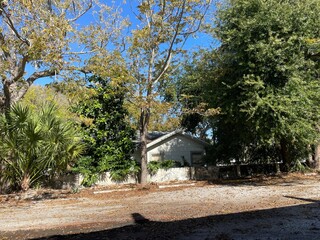 A home in Florida behind a wall with green foliage on a beautiful blue sky day