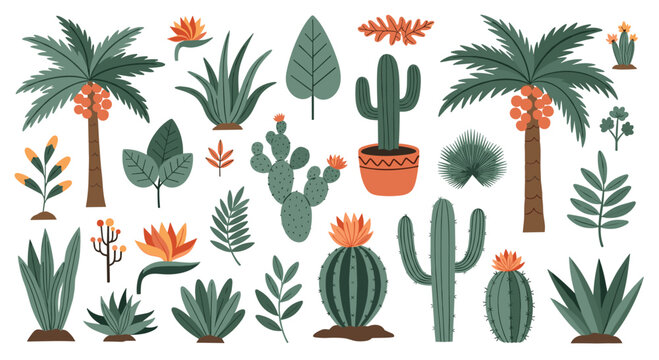 A beautiful collection of hand-drawn desert plants, featuring various types of cacti, succulent aloes, and date palm trees.