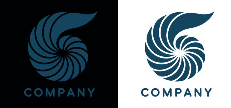 Modern Nautilus Shell Company Logo Design with Black and White Backgrounds Variations