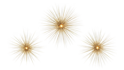 Golden sparkle bursts set