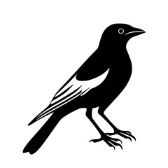 Obraz premium Elegant Silhouette: Magpie's Flight | Clean, isolated vector art for creative projects.