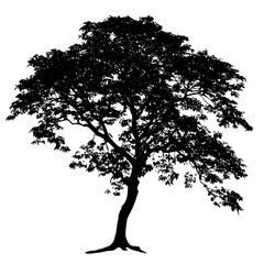 Silhouette solitary tree wilderness | Clean, isolated vector art for creative projects.