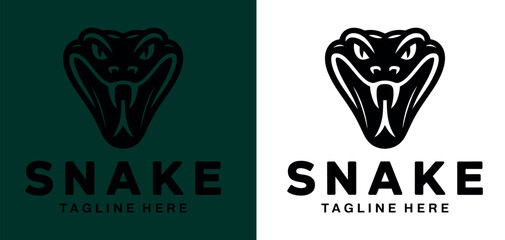 Snake Logo Design Concept Variations