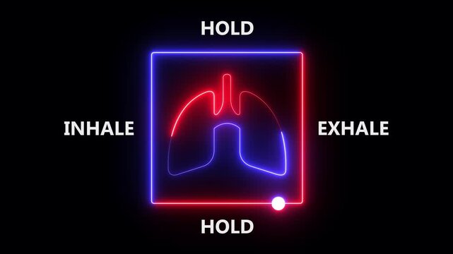 Lungs icon with breathing cycle timeline respiratory. neon anatomy lungs, breathing cycle. neon breathing exercise showing the four stages: inhale, hold, exhale, and hold, with lung icon.