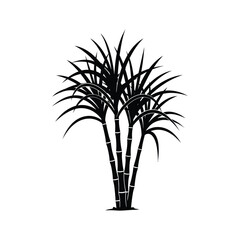 Sugar cane plant silhouette vector art illustration