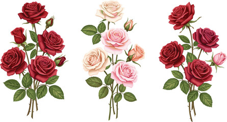 Set of three long stemmed rose bouquets with burgundy pink and red blossoms and green leaves vector illustration.