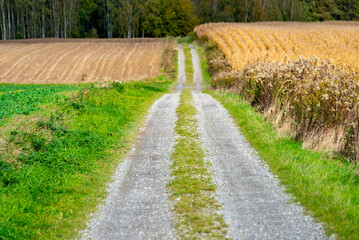 Single Lane Rural Country Road