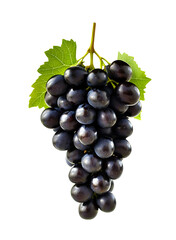 Glossy black grapes hanging in a bunch png transparent background