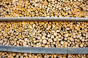 Stacked Firewood on a Farm