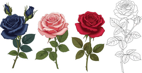 Set of four individual rose stems in navy blue pink red and black line art on white background vector.